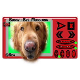 Buddy