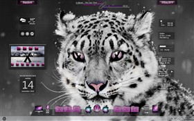 Snow Leopard 2
