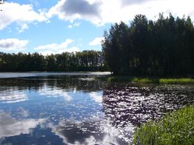 Daytime Lake