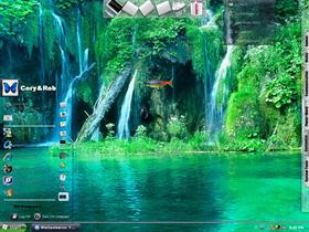 Rainforest