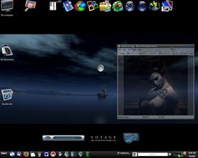 The Voyager