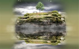Reflections LSV