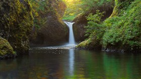 Punch Bowl