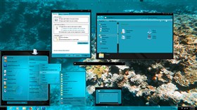 Sea-Life