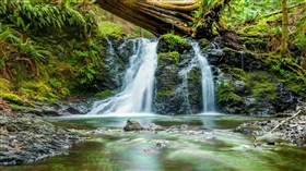 Tree_stump_Falls