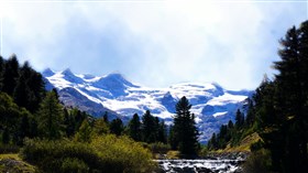 High_Snow_Forest
