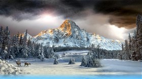 Cascade_Winter