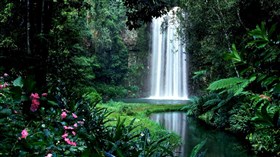 Tropical_Winter