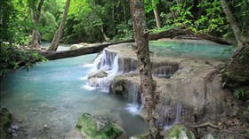 RainForest_Calm_Waterfall