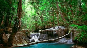 Small_Rainforest_Falls