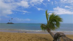 Tropical_Hawaii