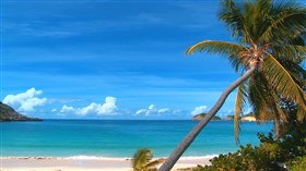 Nice_Calm_Blue_Ocean