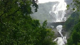 Dudhsagar_Waterfall_India 