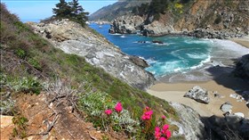 Big_Sur_Ocean_Flowers