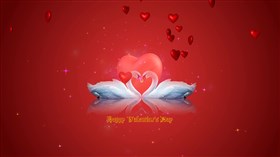 Swans Valentine Day