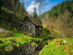 The_Shack