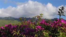 Beautiful_View