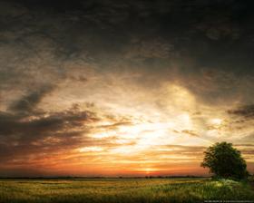 The sky above us