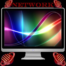 NetWork