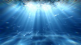Ocean Aquatics