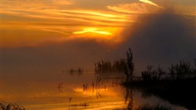 Warm Sunrise
