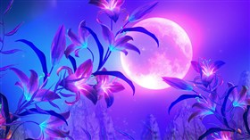 4K Beautiful Moon