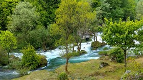 Valley Forest River