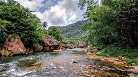 Forest River III 4K