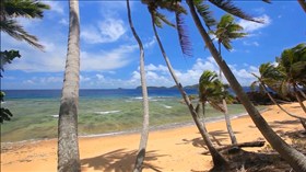 Tropical Beach Fiji