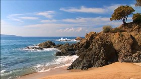 Island Beach