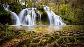 Forest Cascade