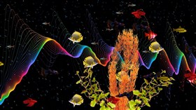 Aquarium Rainbow