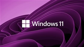 Win11 Purple