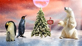 North Pole (UHD)