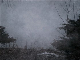 Fog rolls in