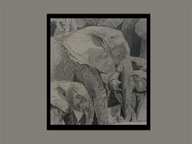 Elephant family