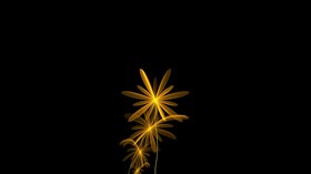 Golden flower