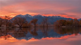 Reflections