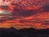 A Desert Sunset