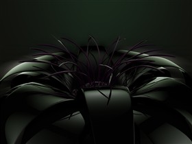 black flower