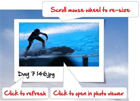Photos