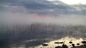 Mist