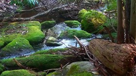 Greenstone Creek