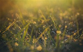 Tears In Heaven