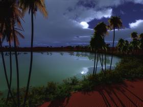 Midnight at the Oasis