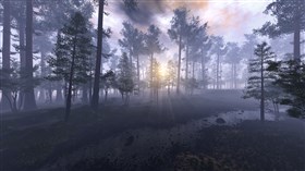 Forest stream