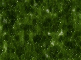 Slime 2