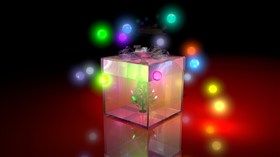Christmas Gift 
