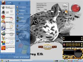 big cat