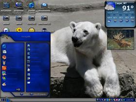 poler bear